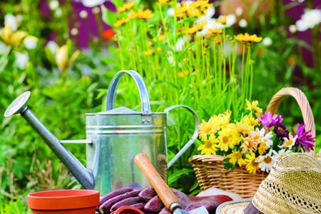 Clay Farm Community Garden | Good to Grow